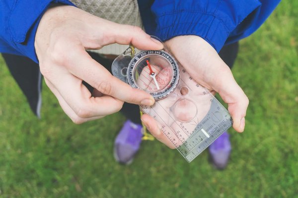 Quelle est la meilleure façon de stimuler l'instinct de fouille chez un cochon miniature?