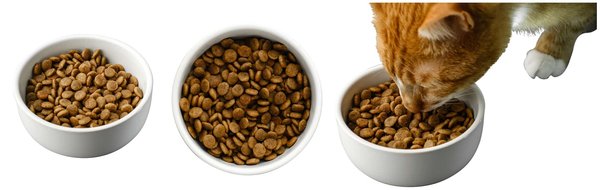 Croquettes chat : optez pour une alimentation durable et saine